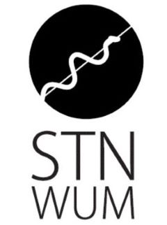 STN Logo